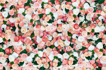 Floral background patter