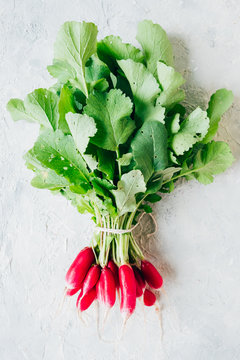 Organic fresh harvested radish