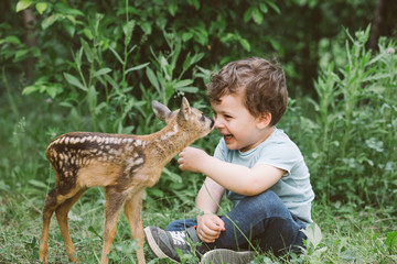 Little boy playing with fawn