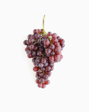 grape on white background
