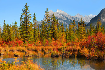 Fototapeta na wymiar Scenic Vermilion lakes area at Banff national park Canada