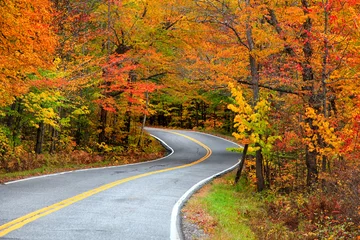 Papier Peint photo Automne Belle route rurale du Vermont en automne