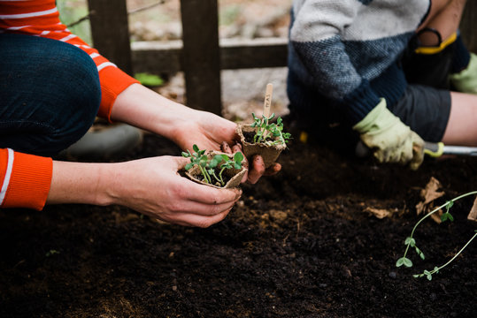 Mother and son gardening together