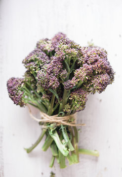 Purple sprouting broccoli on white background.
