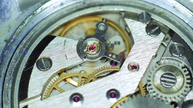 Watch Mechanism. Macro Shoot.