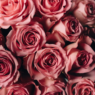 A bouquet of pink roses