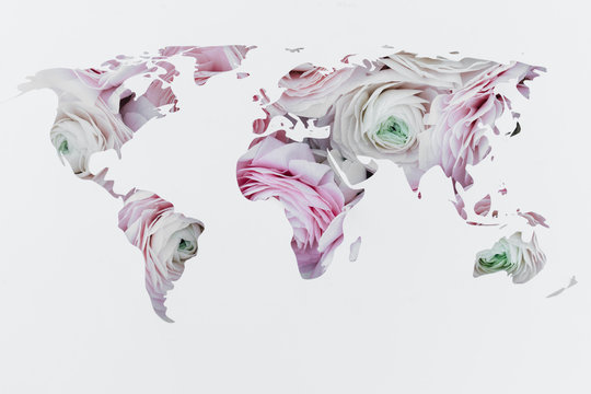 World map made of ranunculus against white background