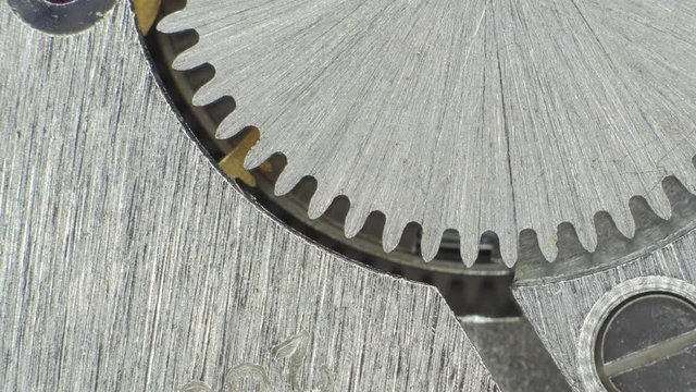 Watch Mechanism. Macro Shoot.