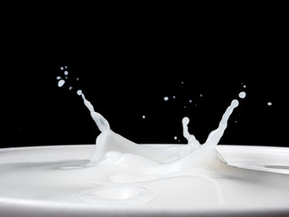 Splash of milk from a cup on black background.