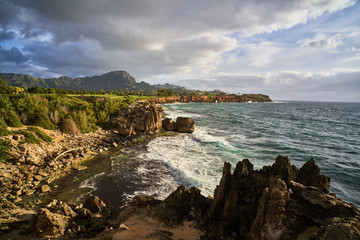 Hawaii coast
