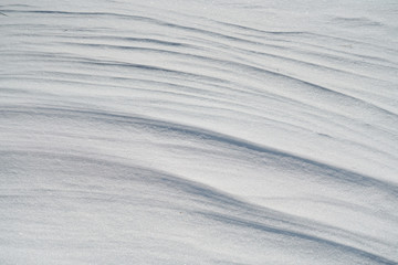 close on drift snow background, winter seasonal scene