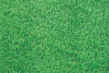 Artificial Green grass of texture for background