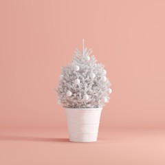 White Christmas plant on Pink background. minimal idea concept.