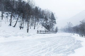 Fototapeta na wymiar Snow coming down on the road in Daisetsuzan National Park, Hokkaido, Japan