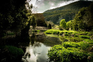 Fototapeta na wymiar Picturesque pond in landscape