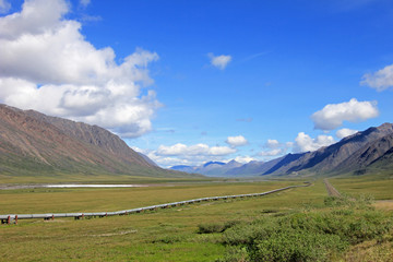 View of Dalton Highway with oil pipeline, leading from Valdez, Fairbanks to Prudhoe Bay, northern Alaska, USA