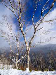 Obraz premium 冬の摩周湖