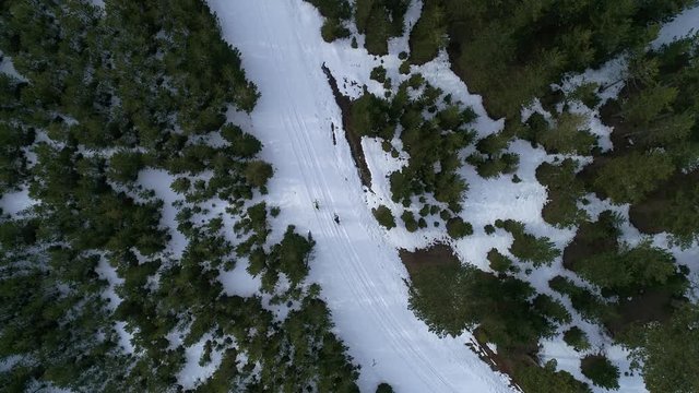 orman yollarında kış mevsimi bisiklet süren sporcular