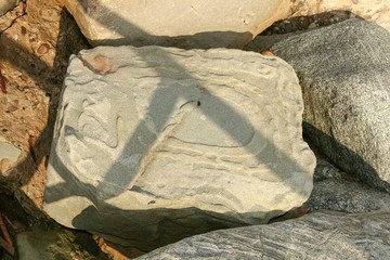 Abstract design formed by erosion on a rock.