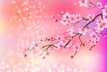Obraz na płótnie Canvas Spring background with cherry blossom in the background