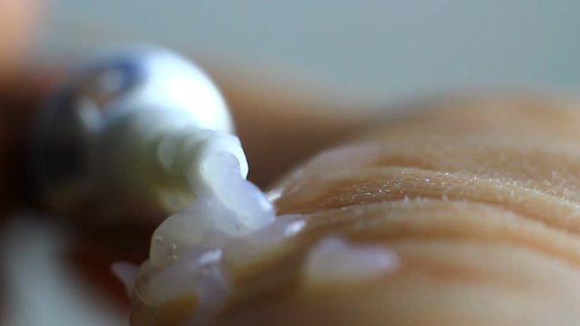Applying medical ointment on a dried skin of palm hand. Studio isolated macro clip. Little shaky.