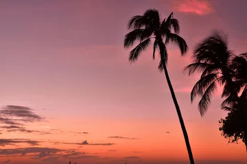 Fototapeten ハワイ　夕景の風景 © to35ke75