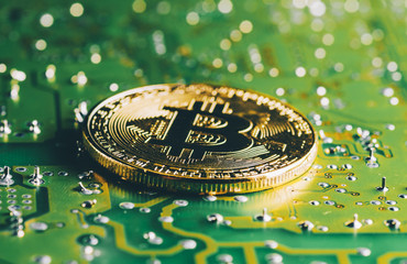 Golden Bitcoin Cryptocurrency