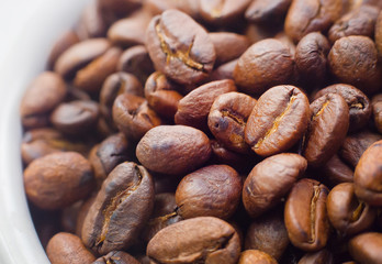 roasted coffee beans on white background space modern style.