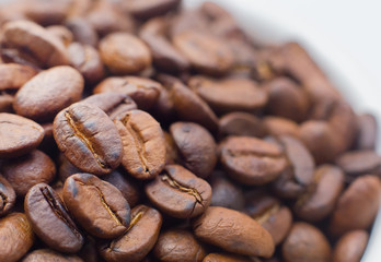 roasted coffee beans on white background space modern style.
