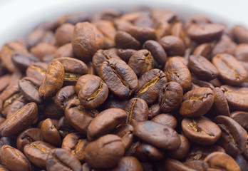 roasted coffee beans on white background space modern style.