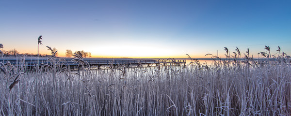 winter am bodden