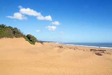Mtunzini Beach Coastal Landscape in South Africa