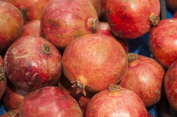 Red fruit Punica granatum