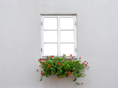 Beautiful Old Window Frame With Flower Box And Light Grey Wall. Geranium Or Cranesbill In Window Box. Rural Window Frame Mock Up. A Closed Wooden Window Isolated.