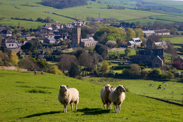 Abbotsbury, Dorset, England, 