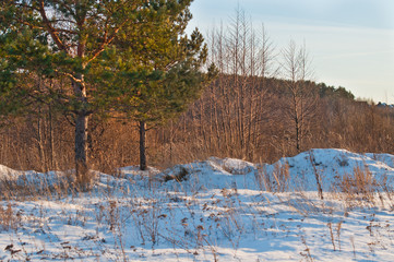 Winter nature, fields and forest in the snow. Calendar for design, wallpaper.