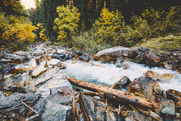 Waterfall and mountain river with rocks in wild forest
