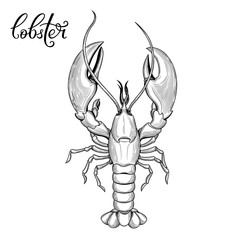 Lobster. Seafood.
