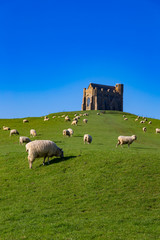 Fototapeta premium architecture