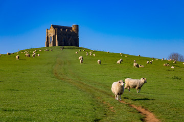 Fototapeta premium architecture