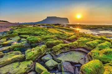 Foto auf Acrylglas Sonnenaufgang am Jeju Do Seongsan Ilchulbong, Insel Jeju, Südkorea © Noppasinw