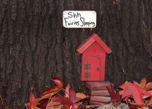 Close up of tree trunk with fairy door, autumn leaves. An urban art movement of tiny fairy doors hitting the curbs, trees, and public spaces on the Island of Alameda, CA spreading a little whimsy