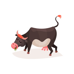 Funny black and white milk cow eating grass cartoon vector Illustration