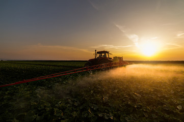 Obraz premium Tractor spraying pesticides on vegetable field with sprayer at spring