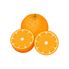 Three Orange fruits whole and slices isolated on white background. Vector illustration. Healthy food design. ingredients for cooking.