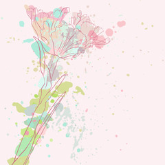 vector drawing tulip flower