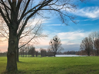 Fototapeta na wymiar Beautiful park landscape with lake