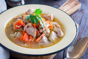 Turkey stew with carrots, onions and celery, horizontal