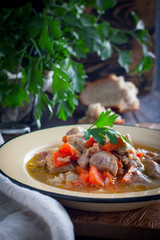 Stew of turkey thigh fillet with rustic vegetables, selective focus