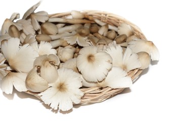 Mushrooms in a container on a white background.
